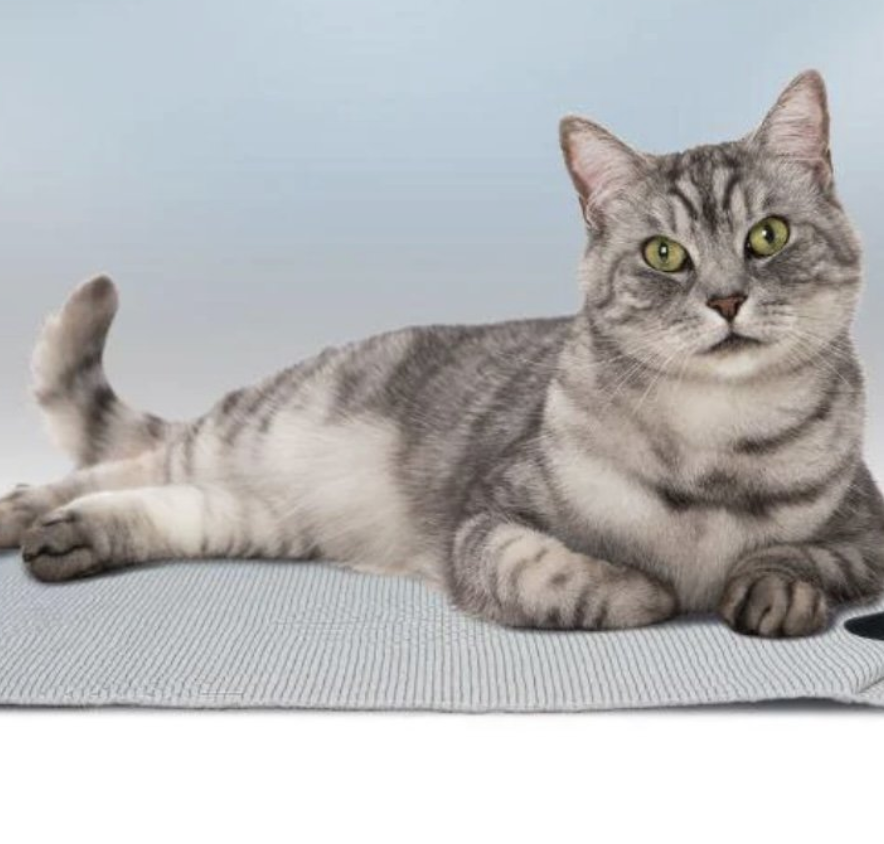 Bio-Shield Pet Bed Floor Mat